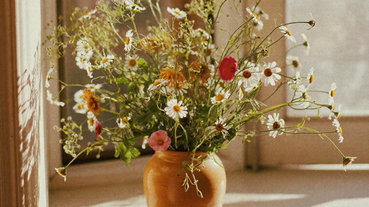 A wild, unruly bouquet of daisies and meadow flowers in a clay vase by a window